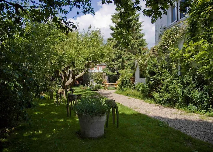 Achter Het Witte Huis